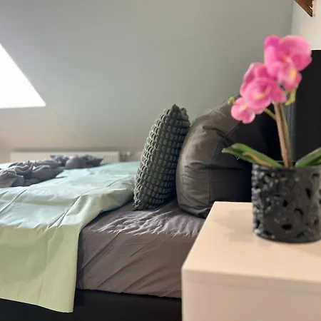 Wunderbares Loft Rursee Wandern Biken Erholung *